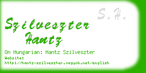 szilveszter hantz business card